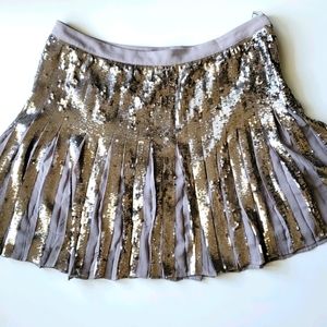 Pewter Sequin Pleated Skirt